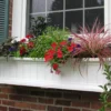 Mayne Inc. Cape Cod 4' Window Box -Outdoor Decor Sales 810440404 1