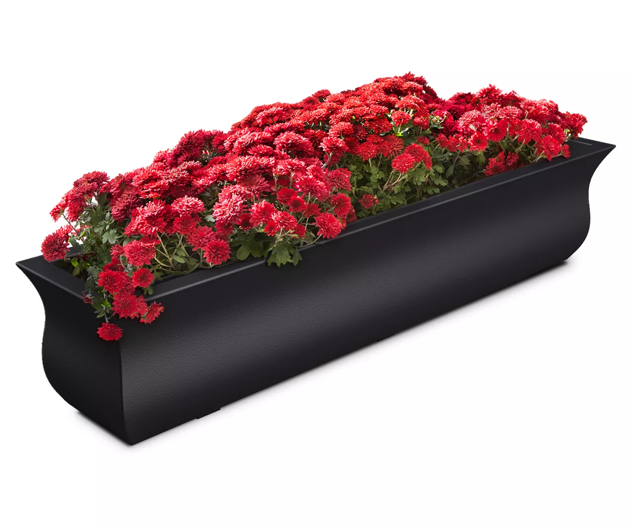 Mayne Inc. Valencia 4' Window Box 16 Mayne Inc. Valencia 4' Window Box - Image 14