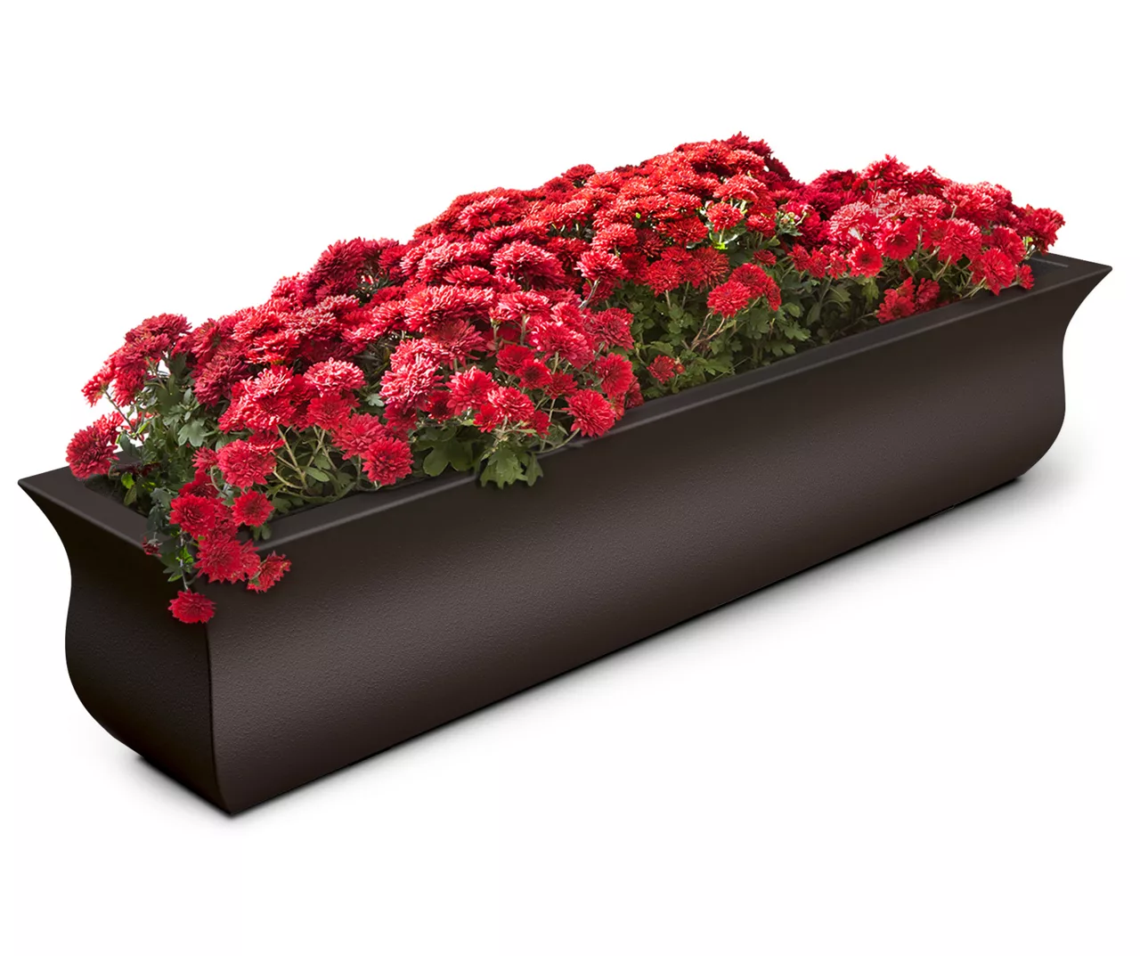 Mayne Inc. Valencia 4' Window Box 11 Mayne Inc. Valencia 4' Window Box - Image 9