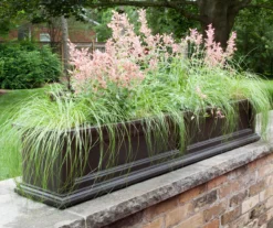 Mayne Inc. Fairfield 5' Window Box -Outdoor Decor Sales 810440451 3