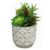 Succulents In Engraved Cement Pot -Outdoor Decor Sales 810492474