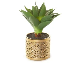 Succulent In Gold Metal Pot