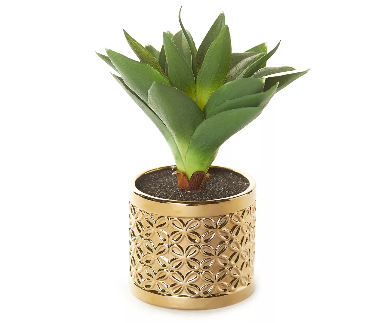 Succulent In Gold Metal Pot 3 Succulent In Gold Metal Pot