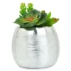 Succulents In Silver Metal Pot -Outdoor Decor Sales 810503231
