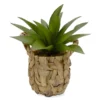 Succulent In Woven Basket Pot -Outdoor Decor Sales 810503243