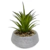 Succulent In Round Silver Ceramic Pot -Outdoor Decor Sales 810503249