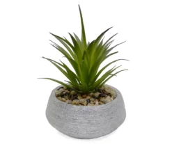 Succulent In Round Silver Ceramic Pot