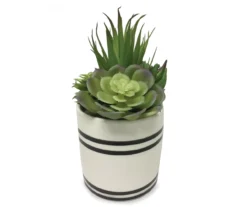 Mixed Succulents In Black & White Ceramic Pot