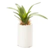 Mini Faux Greenery In White Ceramic Pot -Outdoor Decor Sales 810509521