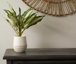 Zebra Plant In Ceramic Pot -Outdoor Decor Sales 810509522 2