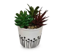 Succulent Arrangement in White & Black Ceramic Pot