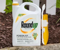 Roundup Ready-To-Use Poison Ivy Plus Tough Brush Killer With Comfort Wand, 1.33 Gal. -Outdoor Decor Sales 810543477 4