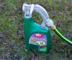 Weed B Gon Chickweed, Clover & Oxalis Killer For Lawns Ready-To-Spray, 32 Oz. -Outdoor Decor Sales 810543513 3