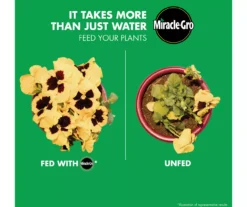 LiquaFeed 4-Piece All Purpose Plant Food Advance Starter Kit & Bloom Booster Flower Food Bundle -Outdoor Decor Sales 810543527 6