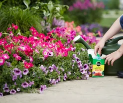 Water Soluble All Purpose Plant Food & Garden Feeder Bundle -Outdoor Decor Sales 810543537 6