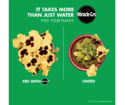 Water Soluble All Purpose Plant Food & Garden Feeder Bundle -Outdoor Decor Sales 810543537 7