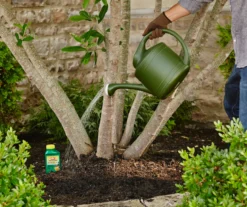 Tree & Shrub Fruit Tree Spray, 16 Oz. -Outdoor Decor Sales 810543540 2