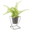 Fern In Black Metal Pot & Wire Stand -Outdoor Decor Sales 810545784