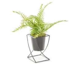 Fern In Black Metal Pot & Wire Stand