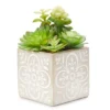 12" Artificial Succulents In Floral Patterned Square Cement Pot 2 12" Artificial Succulents In Floral Patterned Square Cement Pot -Outdoor Decor Sales 810545808