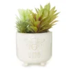 Bee Kind Succulents In White Embossed Ceramic Pot -Outdoor Decor Sales 810548736