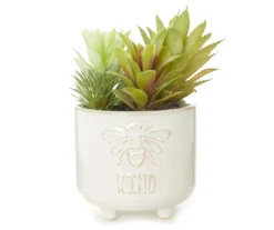 Bee Kind Succulents In White Embossed Ceramic Pot