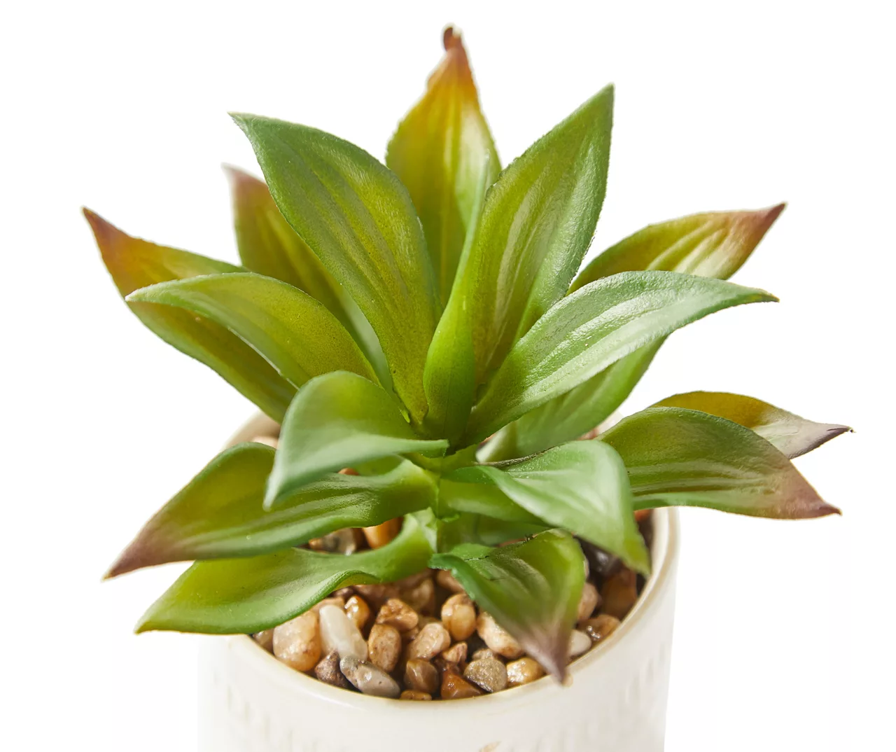 Greenery In Antique White Ceramic Pot 4 Greenery In Antique White Ceramic Pot - Image 2