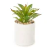 Greenery In Antique White Ceramic Pot -Outdoor Decor Sales 810548740