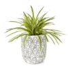 Grass In Arch Pattern Pot -Outdoor Decor Sales 810553579
