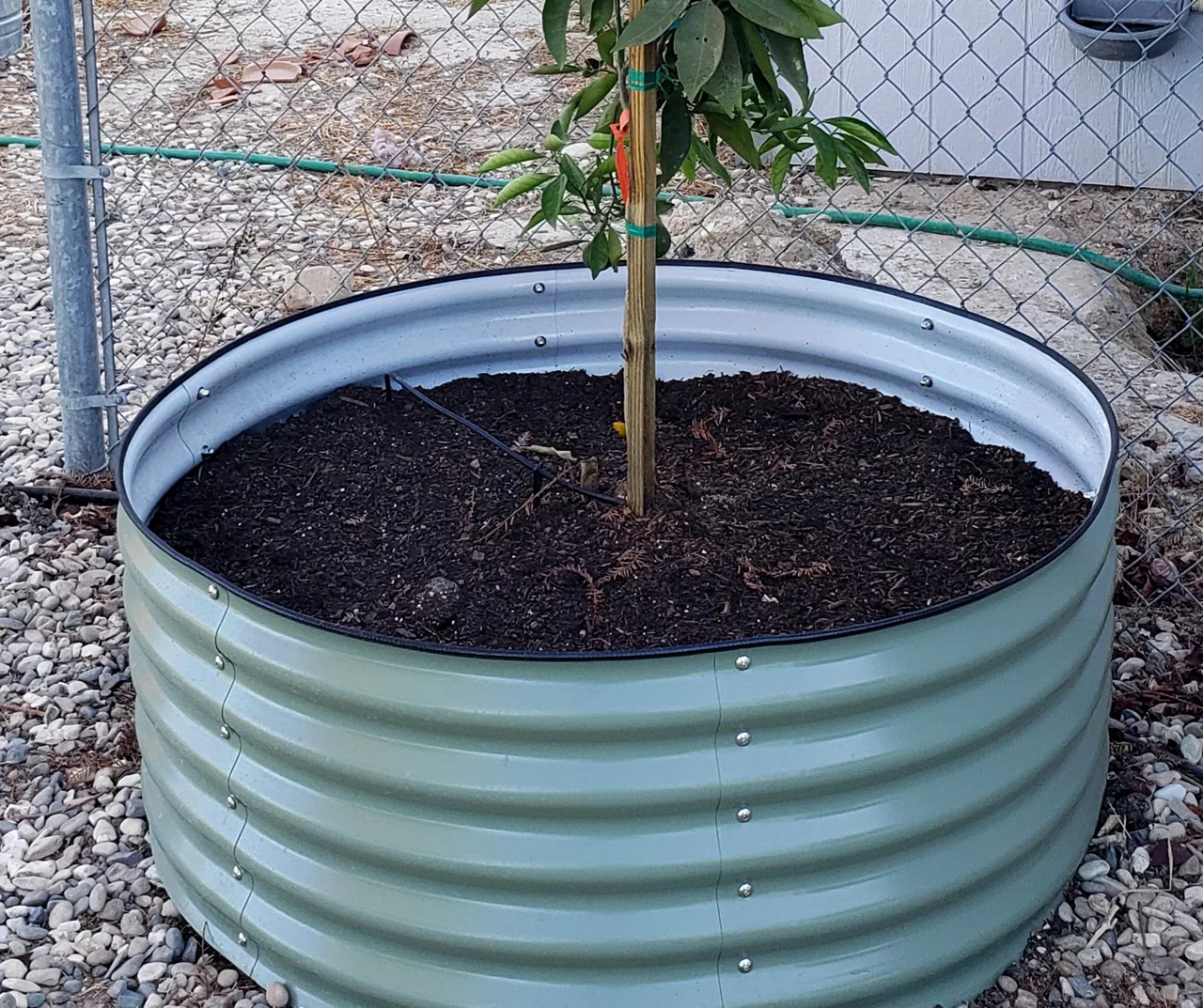 42" Olive Green Metal Raised Garden Bed 4 42" Olive Green Metal Raised Garden Bed - Image 2