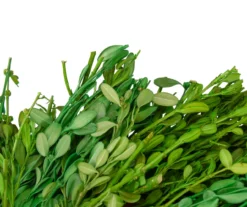 11" Green Foliage Wreath -Outdoor Decor Sales 810574578 3