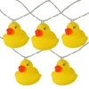 Northlight Rubber Ducky LED Light Set, 10-Lights -Outdoor Decor Sales 810575980