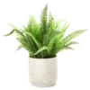 Artificial Fern In Woodgrain Look Ceramic Pot -Outdoor Decor Sales 810587217 A0 1