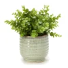 Artificial Greenery In Green Ribbed Ceramic Pot -Outdoor Decor Sales 810587244 A0 1