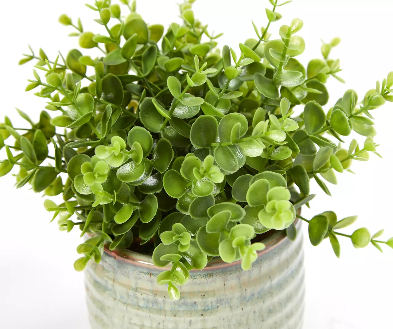 Artificial Greenery In Green Ribbed Ceramic Pot 4 Artificial Greenery In Green Ribbed Ceramic Pot - Image 2
