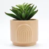 Artificial Succulent In Coral Arch Ceramic Pot -Outdoor Decor Sales 810587610 A0 2