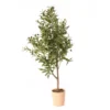 48" Artificial Olive Tree In Terra-Cotta Cement Pot -Outdoor Decor Sales 810592134 A0