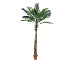 Northlight 8' Phoenix Palm Tree In Terra-Cotta Pot